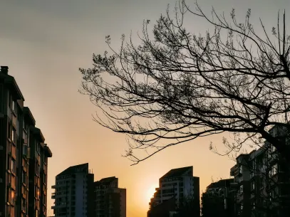 MegaReel Casino Application mobile